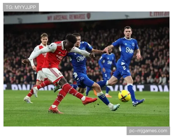 即时：英超保级关键战，埃弗顿补时阶段获争议点球